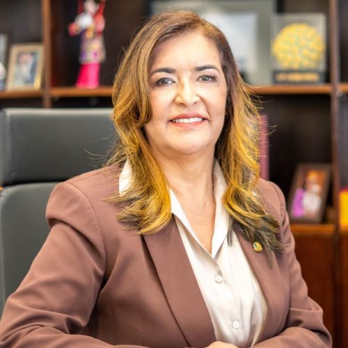 Sancionada lei que cria a Política Nacional de Enfrentamento ao HPV com relatoria da senadora Dra. Eudócia