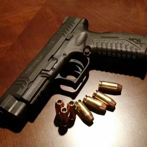 Dono de arma dribla decreto e usa brecha na PF para continuar comprando