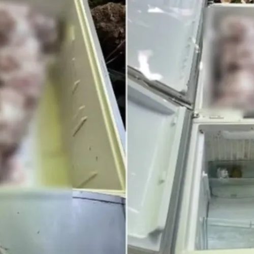 Acusado de matar sogra e esconder corpo em geladeira vai a júri em outubro