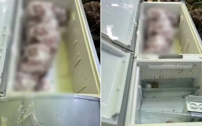 Acusado de matar sogra e esconder corpo em geladeira vai a júri em outubro