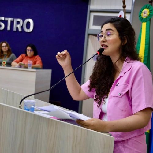 Projeto impede condenados por violência doméstica de assumirem cargos públicos em Maceió