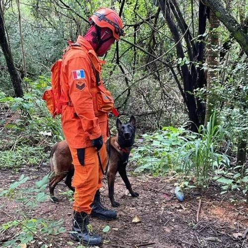 Corpo de Bombeiros e PM encerram buscas por jovem em área de mata na Serraria