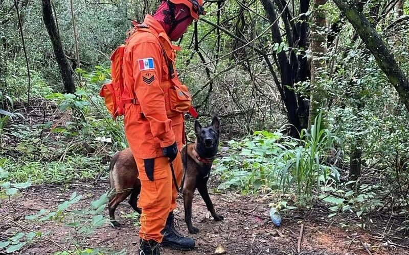 Corpo de Bombeiros e PM encerram buscas por jovem em área de mata na Serraria