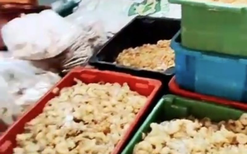 PCAL desmonta organização criminosa de golpes com frutos do mar em Alagoas e Pernambuco