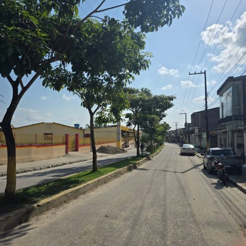 Prefeitura de Matriz de Camaragibe inicia poda e manutenção de árvores na Avenida Manoel dos Santos