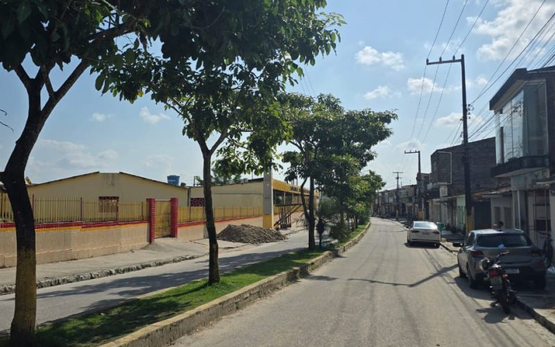 Prefeitura de Matriz de Camaragibe inicia poda e manutenção de árvores na Avenida Manoel dos Santos