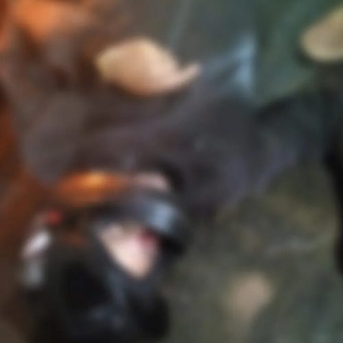 Homem é morto a tiros ao sair de barbearia em Palmeira dos Índios