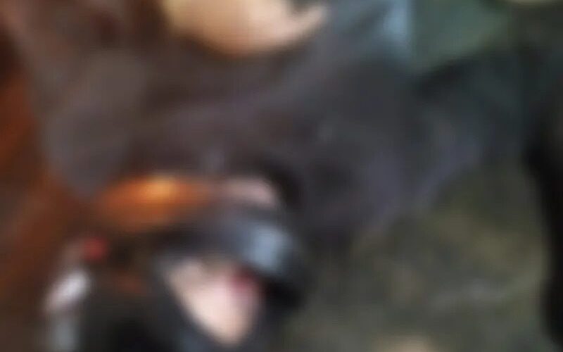 Homem é morto a tiros ao sair de barbearia em Palmeira dos Índios
