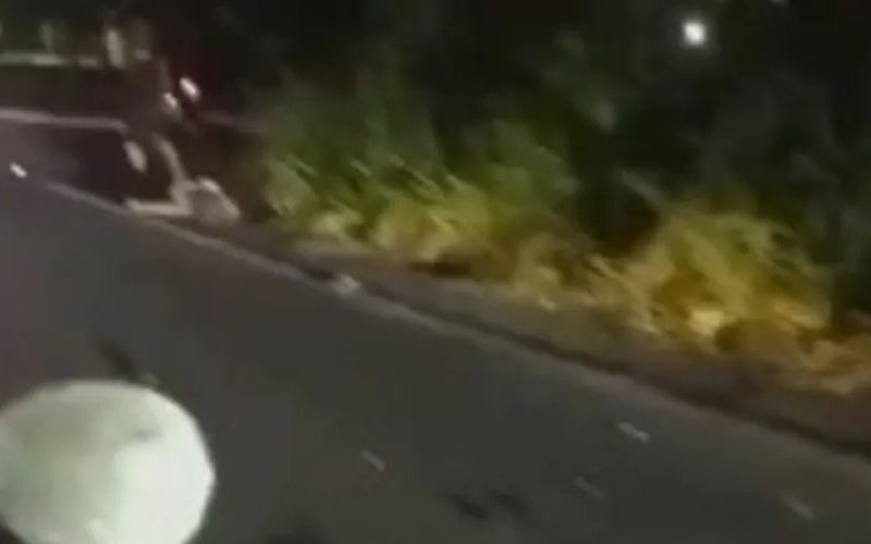 Motociclista morre em colisão com carro na AL-101 Norte, em Paripueira