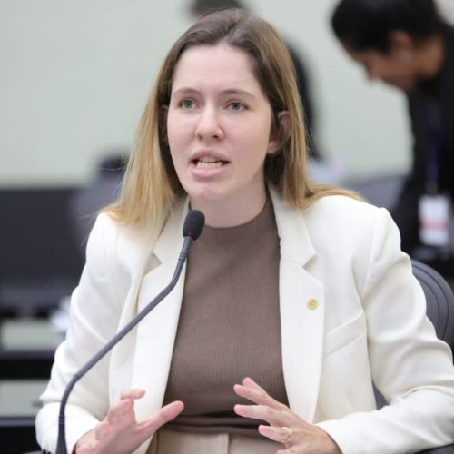 Cibele Moura solicita apoio de colegas para aprovação de projeto que protege mulheres grávidas em cursos militares