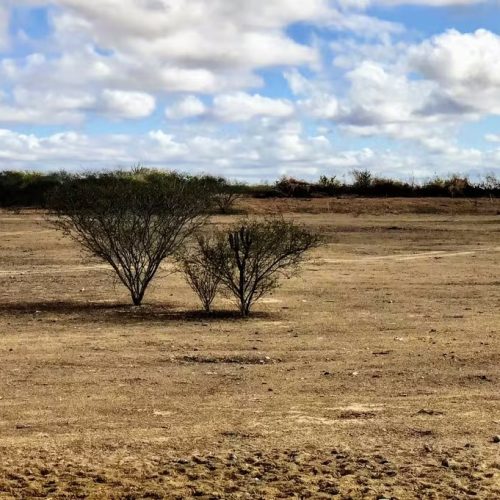 Cidades do Agreste e Sertão de Alagoas estão sob alerta de baixa umidade até fim de semana