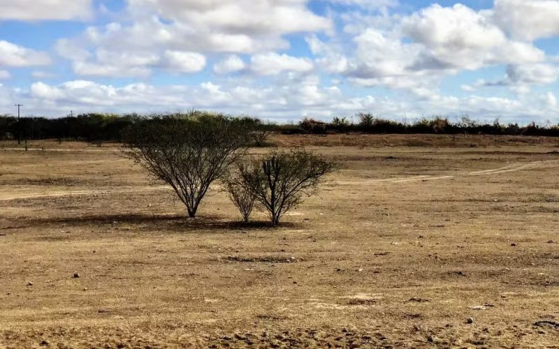 Cidades do Agreste e Sertão de Alagoas estão sob alerta de baixa umidade até fim de semana