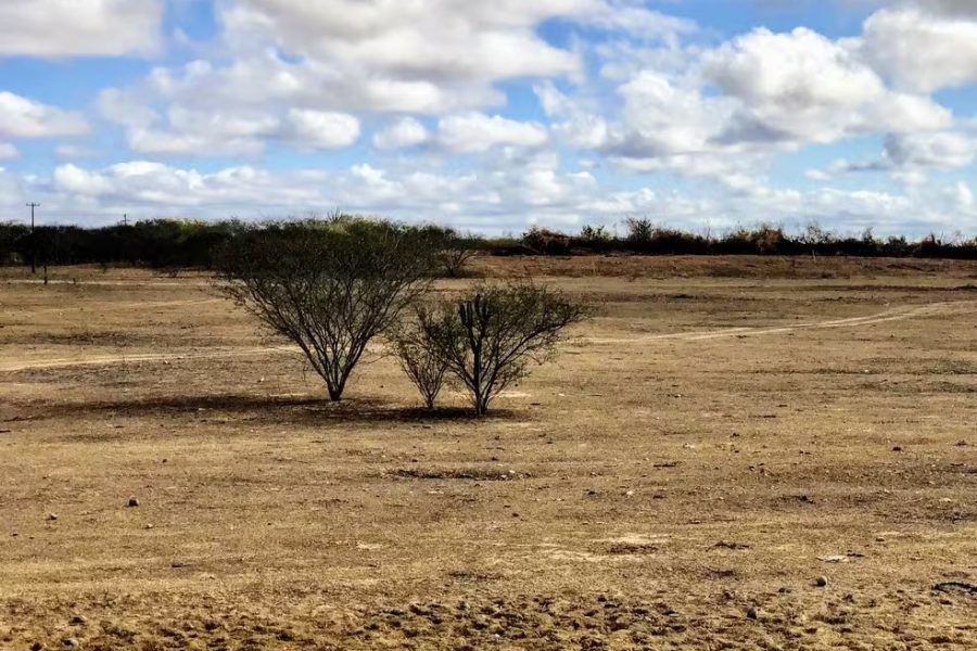 Cidades do Agreste e Sertão de Alagoas estão sob alerta de baixa umidade até fim de semana