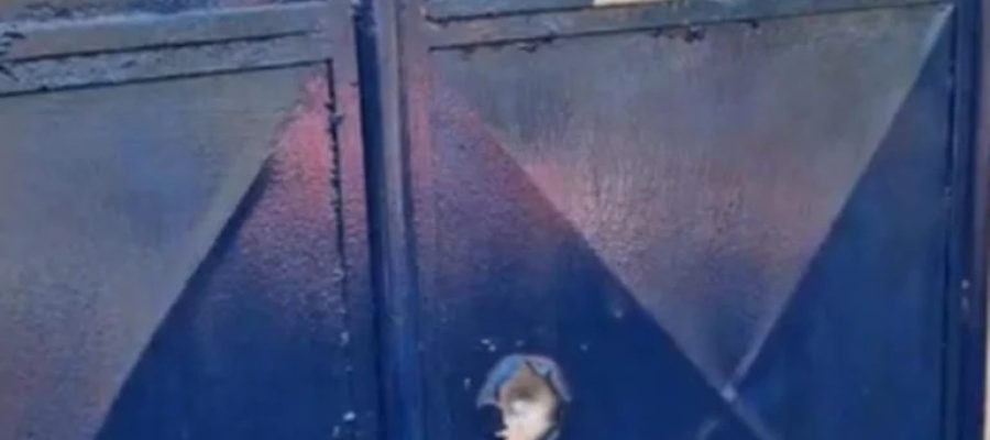 Escola indígena em Palmeira dos Índios amanhece crivada de tiros;liderança indígena acusa ato de intimidação