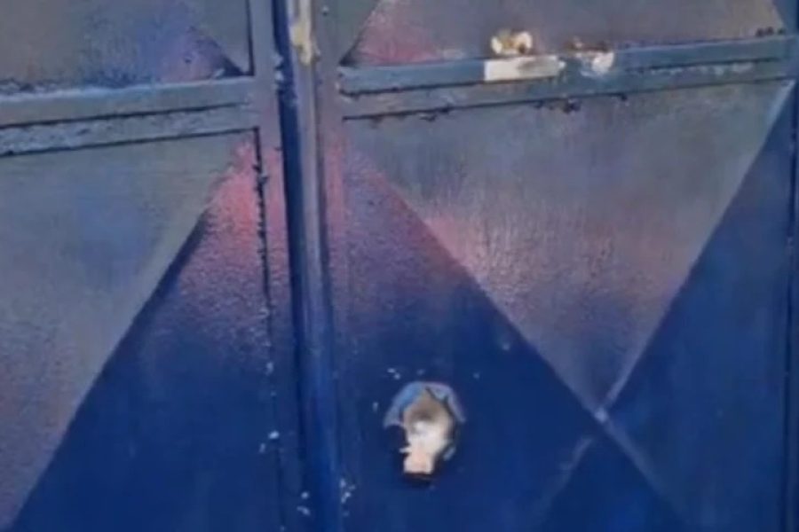 Escola indígena em Palmeira dos Índios amanhece crivada de tiros;liderança indígena acusa ato de intimidação