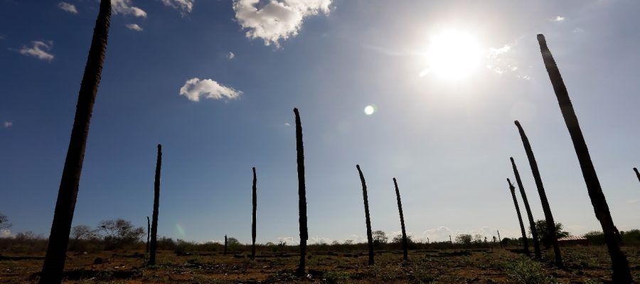 Alertas de baixa umidade são emitidos para 32 municípios do Sertão de Alagoas