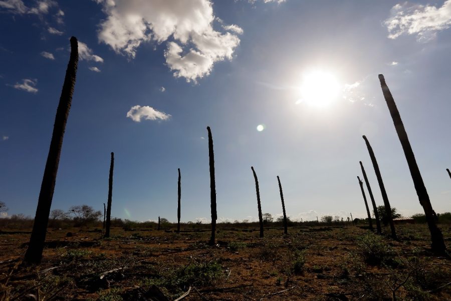 Alertas de baixa umidade são emitidos para 32 municípios do Sertão de Alagoas