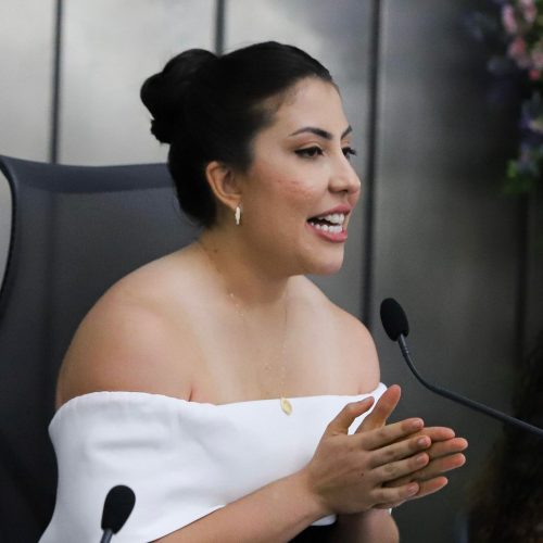 Deputada Estadual Gabi Gonçalves realizará a entrega do Comenda de Mérito Vera Arruda a oito mulheres empreendedoras