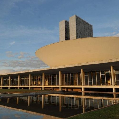 Homem é detido após tumulto e xingamentos na Câmara dos Deputados