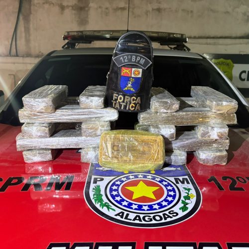 Polícia apreende quase 20 kg de drogas em área de mata em assentamento do MST em Maceió