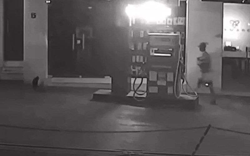 Lojas viram alvo de depredação em Mata Grande, Sertão de Alagoas