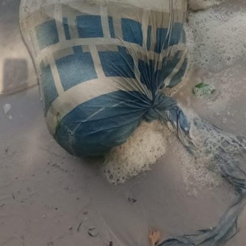 Corpo é encontrado enrolado em lençol na Lagoa Manguaba