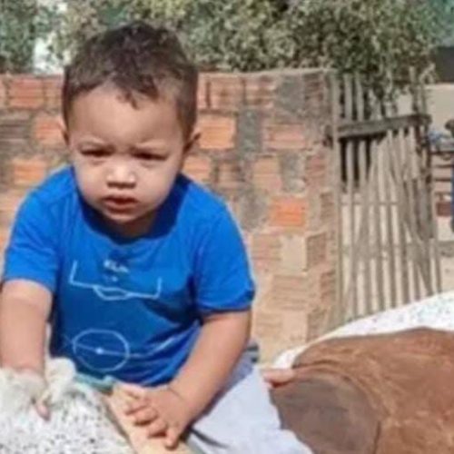 Mulher que atropelou e matou criança em Batalha é solta após pagar fiança