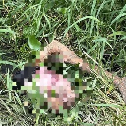 Após achado de cabeça, corpo de adolescente desaparecido é encontrado no Salvador Lyra