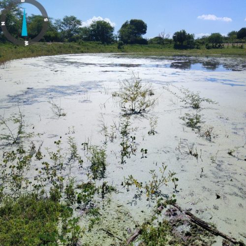 Prefeitura de Piranhas decreta emergência preventiva e reforça ações de segurança hídrica após chuvas