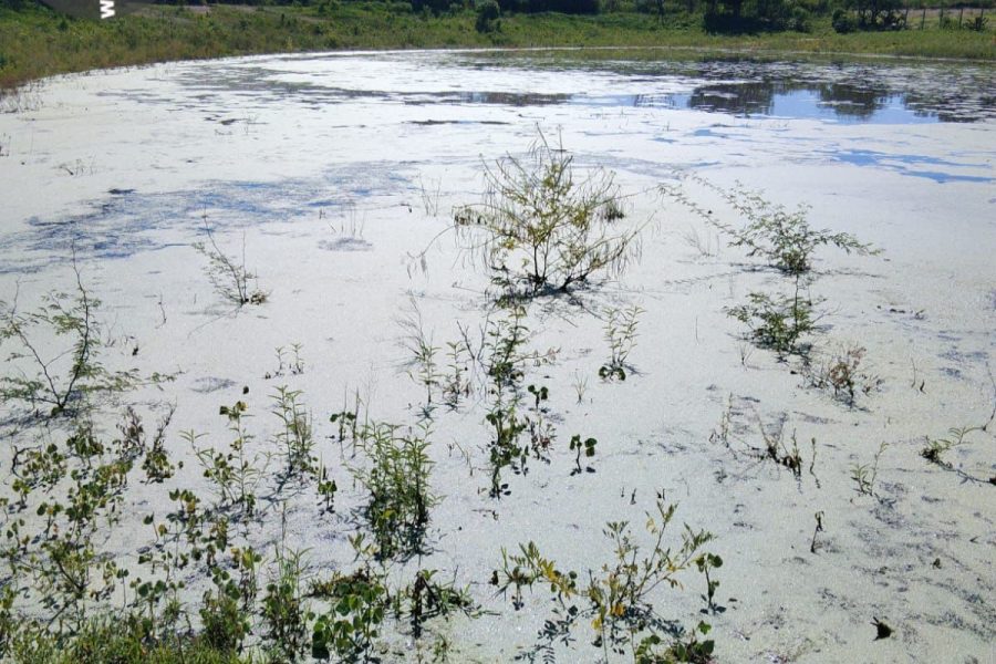 Prefeitura de Piranhas decreta emergência preventiva e reforça ações de segurança hídrica após chuvas