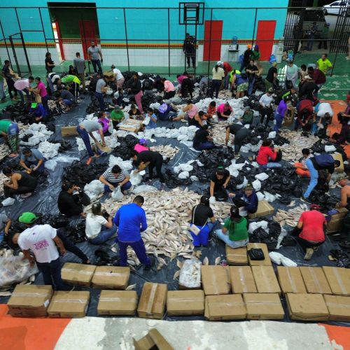 De porta em porta, prefeitura leva peixe da Semana Santa às famílias de Joaquim Gomes
