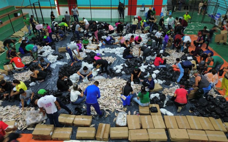 De porta em porta, prefeitura leva peixe da Semana Santa às famílias de Joaquim Gomes