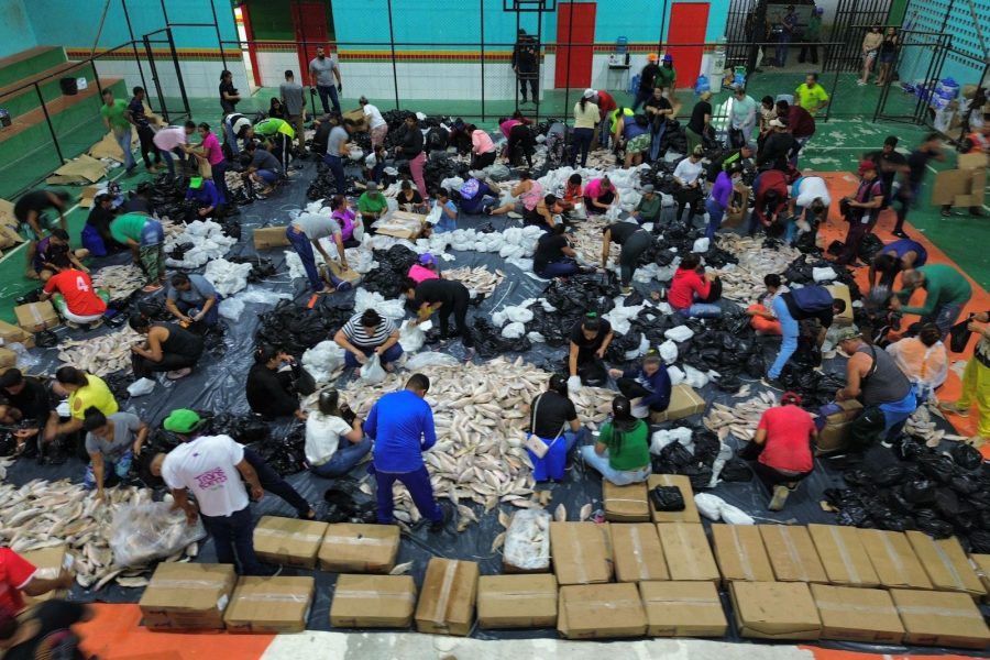 De porta em porta, prefeitura leva peixe da Semana Santa às famílias de Joaquim Gomes