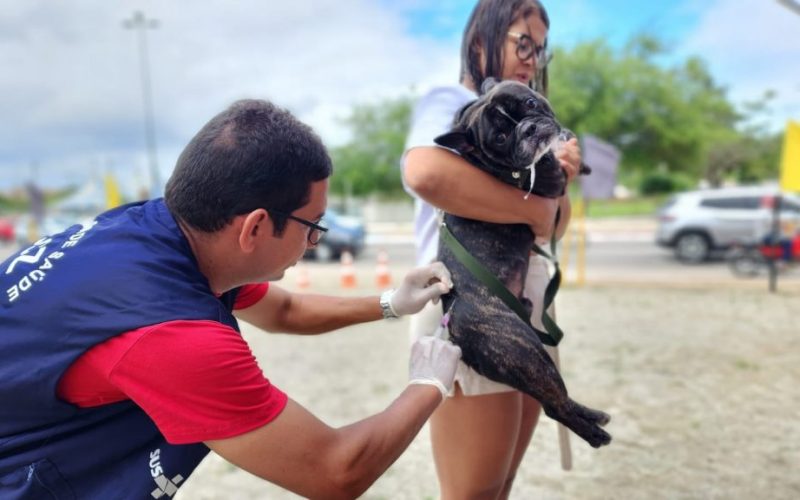 Prefeitura de Arapiraca realizará mutirão de vacinação antirrábica neste sábado (27)