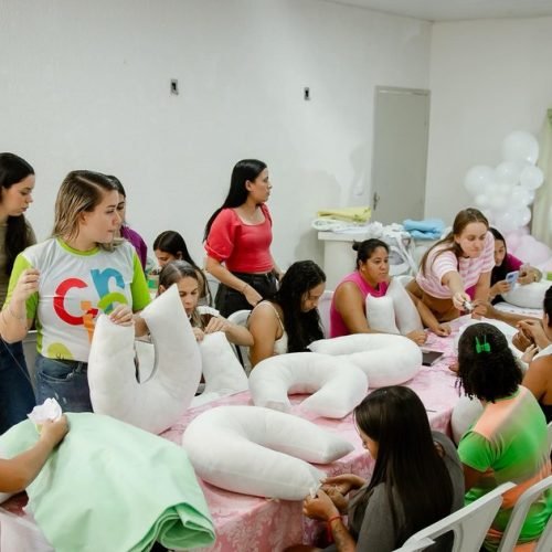 Senador Rui Palmeira promove ações de cuidado com mães e crianças durante Semana do Bebê
