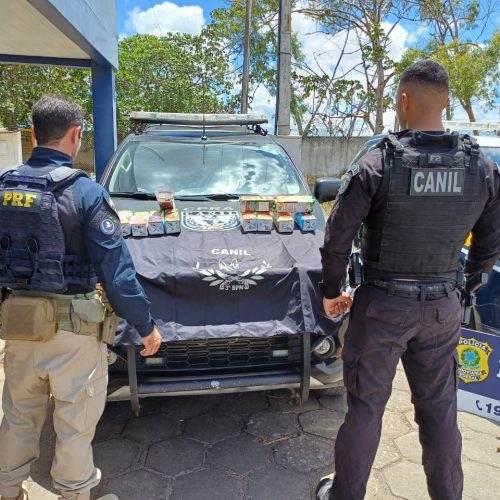 Cão farejador encontra 10 kg de cocaína em mala de ônibus no Agreste