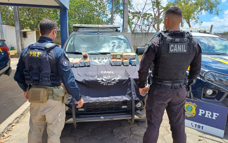 Cão farejador encontra 10 kg de cocaína em mala de ônibus no Agreste