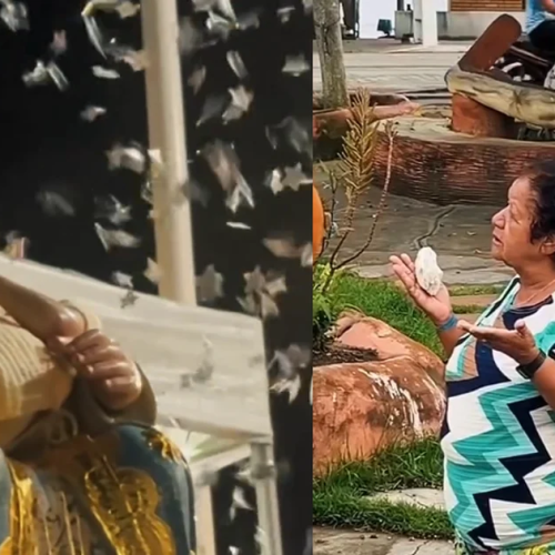 Imagem de Nossa Senhora da Graça retorna ao Pilar após mais de 30 anos desaparecida