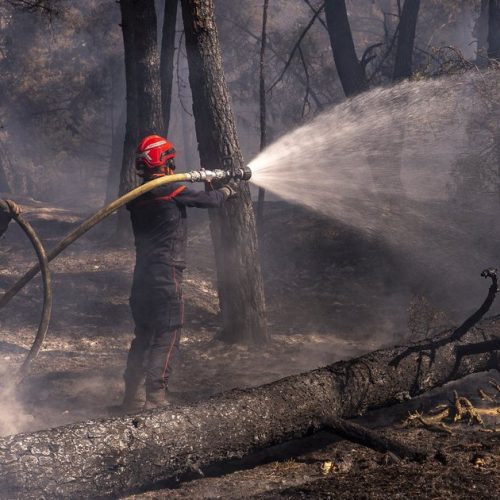 Incêndios florestais forçam evacuação de mais de 300 mil pessoas na França e na Espanha