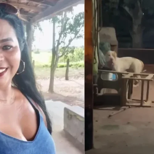 Mulher é morta após ser atacada por pitbull dentro da própria casa