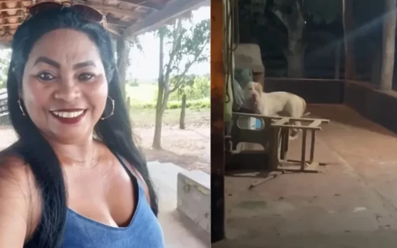 Mulher é morta após ser atacada por pitbull dentro da própria casa