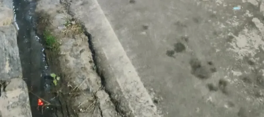 IML confirma que homem morreu sufocado após se engasgar com cuscuz em Arapiraca