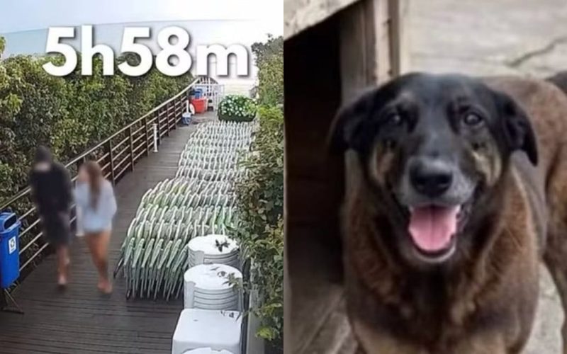 Adolescente apontado pela morte do cão Orelha não pode ser internado