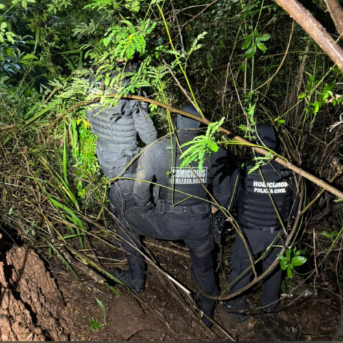 Síndico conduz polícia até corpo de corretora em Goiás; ele e o filho são presos por suspeita de homicídio