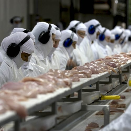 China suspende proibição de importação de carne de frango do Brasil