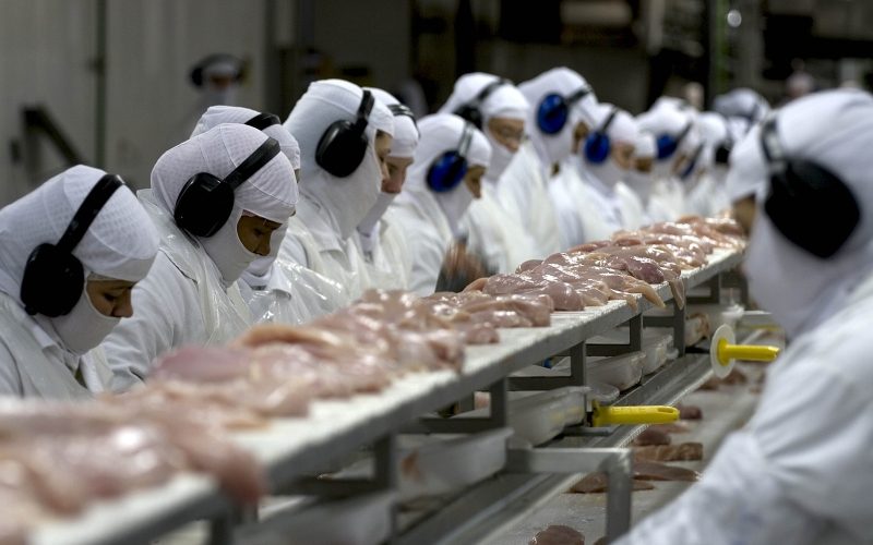 China suspende proibição de importação de carne de frango do Brasil