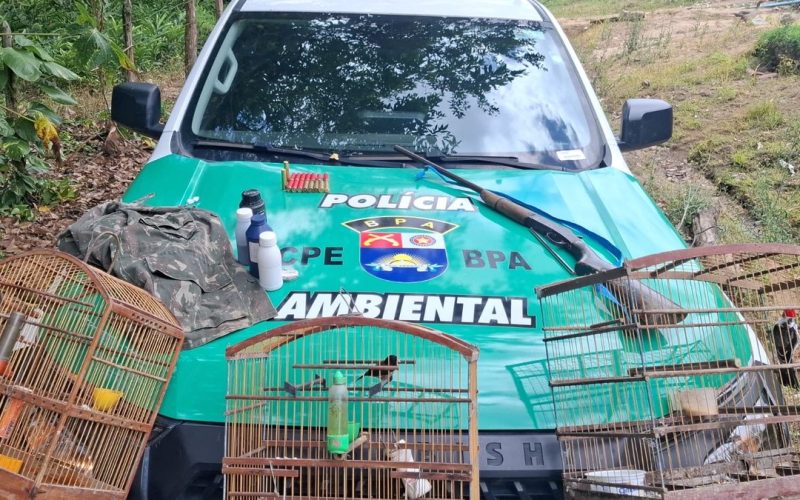 PM apreende arma e aves silvestres durante operação em Passo de Camaragibe