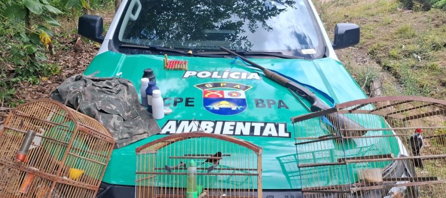 PM apreende arma e aves silvestres durante operação em Passo de Camaragibe