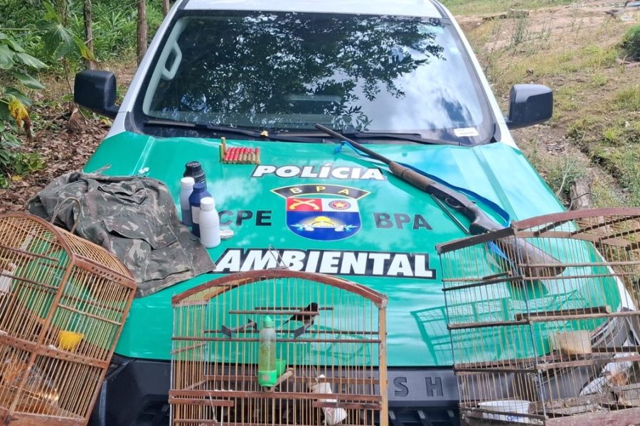 PM apreende arma e aves silvestres durante operação em Passo de Camaragibe