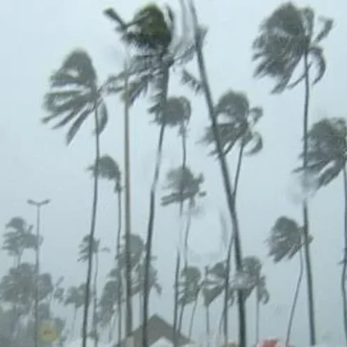 Inmet emite alerta de chuvas para 86 cidades de Alagoas até segunda-feira (13)